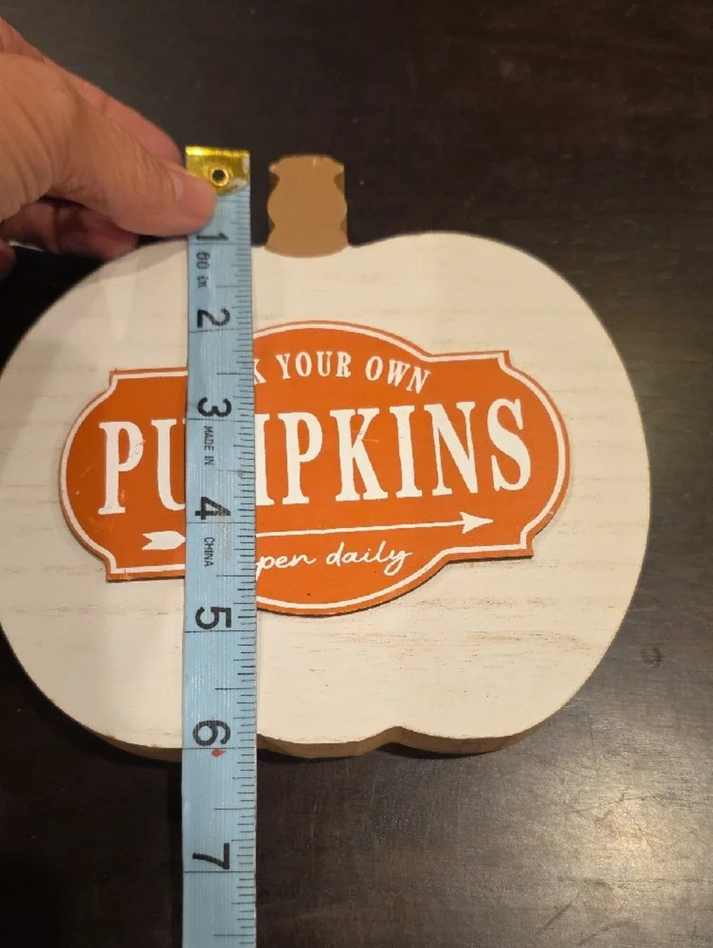 Rustic White Pumpkin Sign with Orange 'Pumpkins' Label - Home Decor